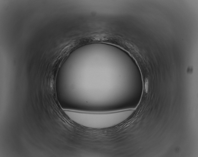 X0000096701444200802051050