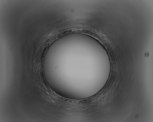 X0000096701445200802051050