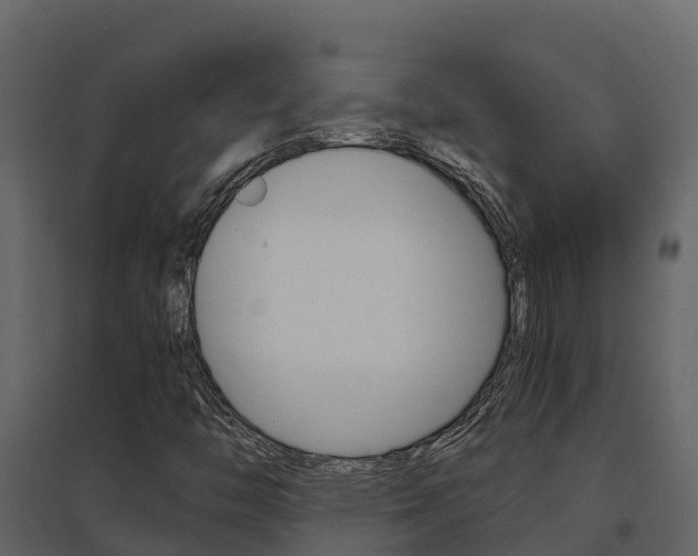X0000096701446200802051050