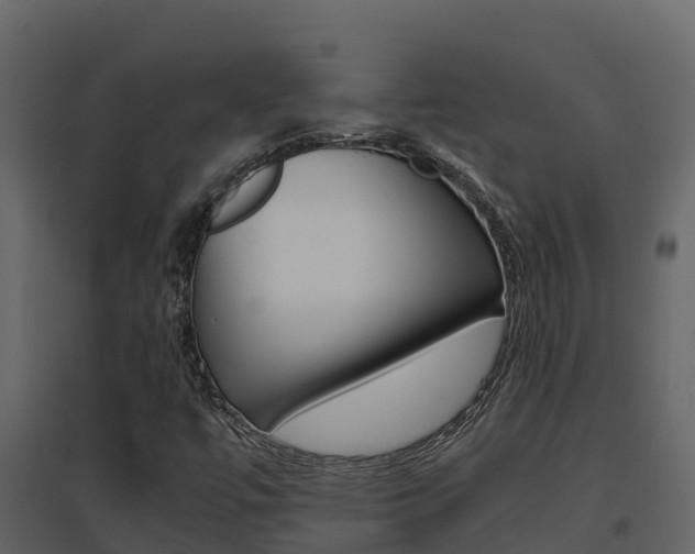 X0000096701447200802051050