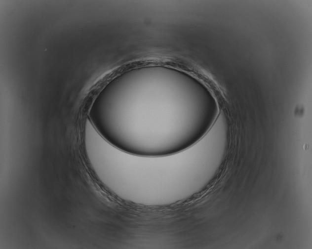 X0000096701448200802051050