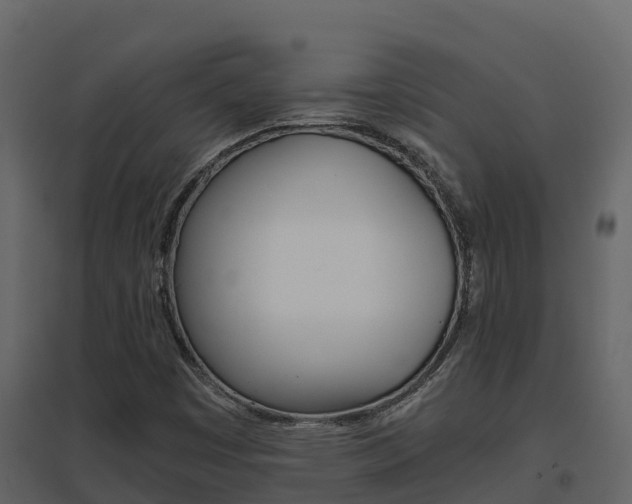 X0000096701449200802051050