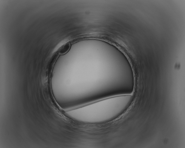 X0000096701450200802051050