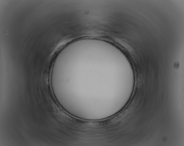 X0000096701451200802051050