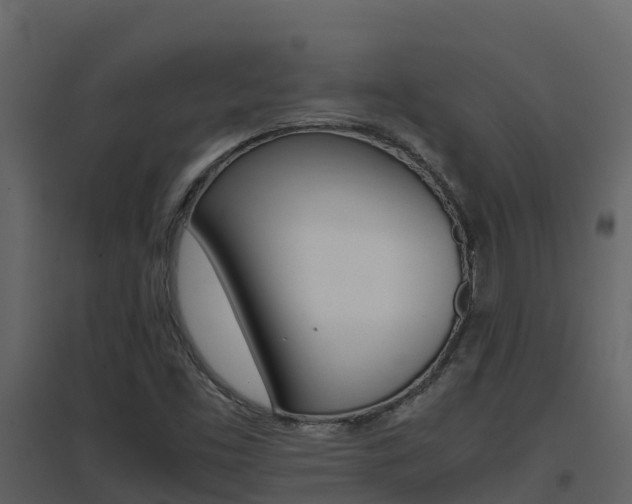 X0000096701453200802051050