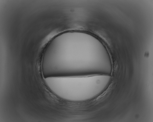 X0000096701455200802051050