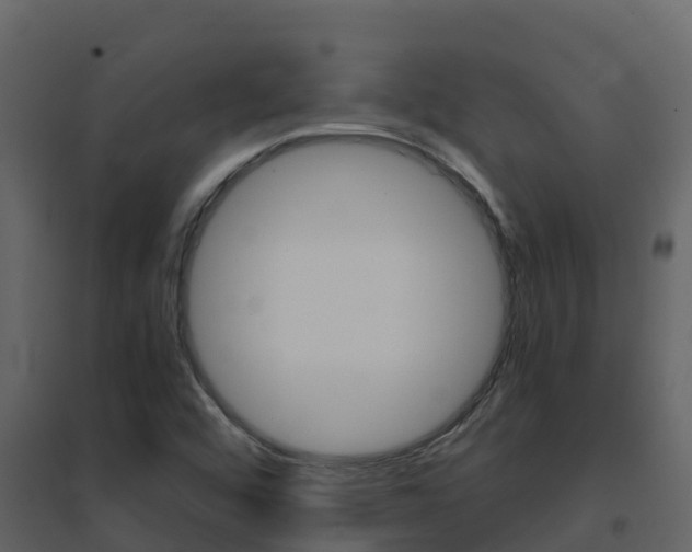 X0000096701456200802051050