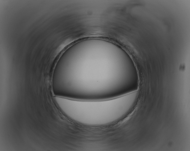 X0000096701457200802051050