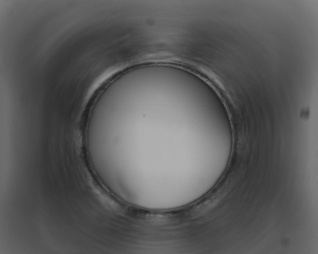 X0000096701458200802051050