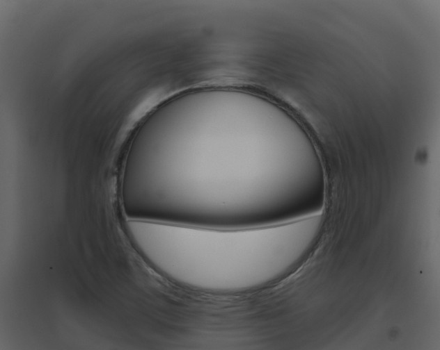 X0000096701459200802051050