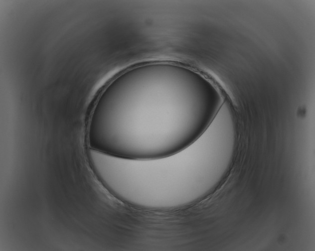 X0000096701460200802051050