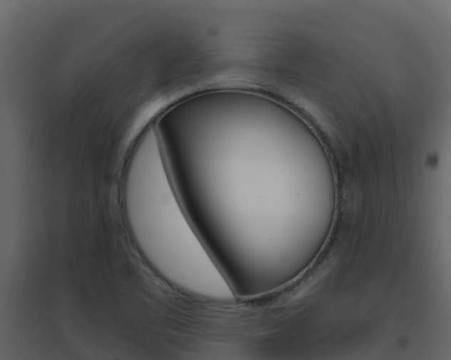 X0000096701461200802051050