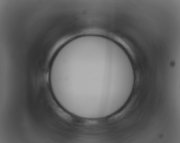 X0000096701462200802051050