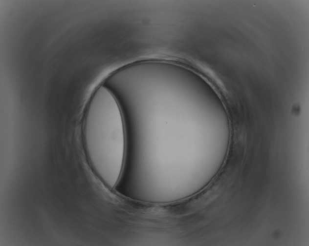 X0000096701463200802051050
