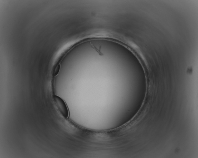 X0000096701464200802051050