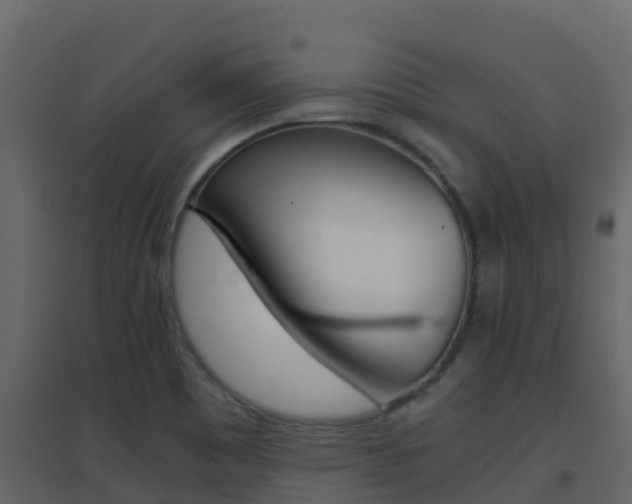 X0000096701465200802051050