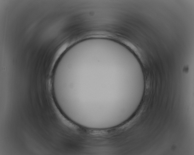 X0000096701466200802051050