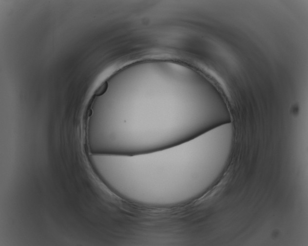 X0000096701467200802051050