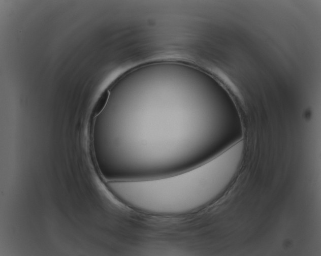 X0000096701468200802051050