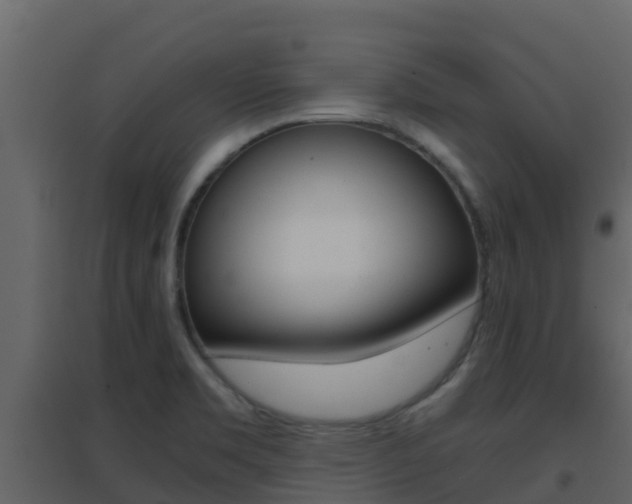 X0000096701469200802051050
