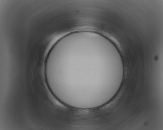 X0000096701470200802051049