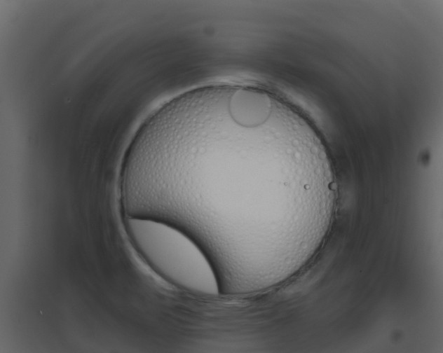 X0000096701471200802051049