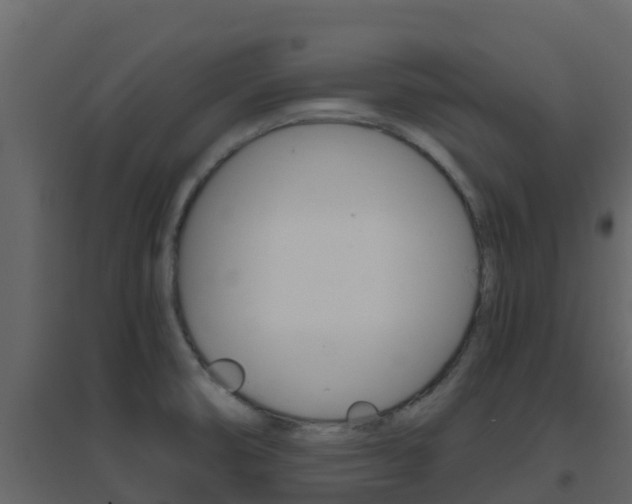 X0000096701474200802051049