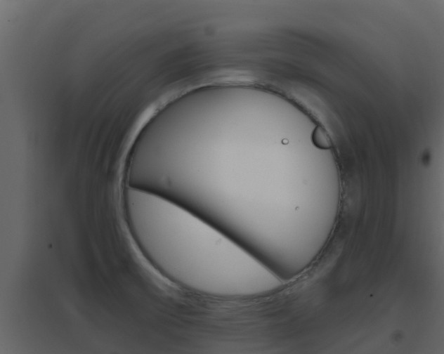 X0000096701475200802051049