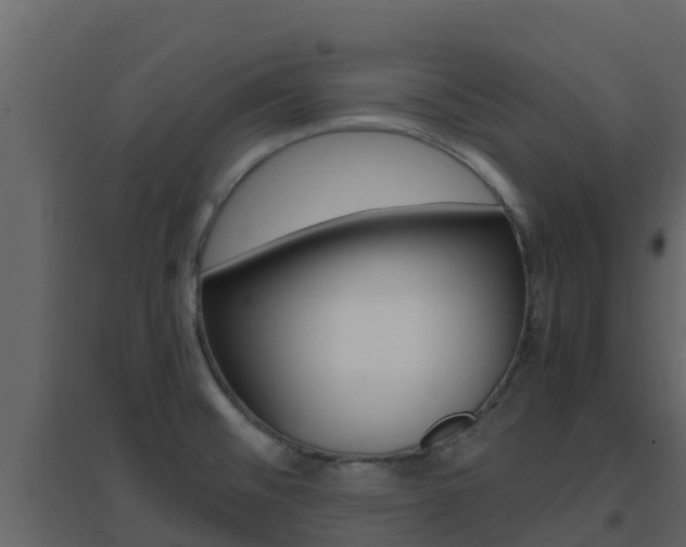 X0000096701476200802051049