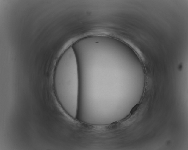 X0000096701477200802051049