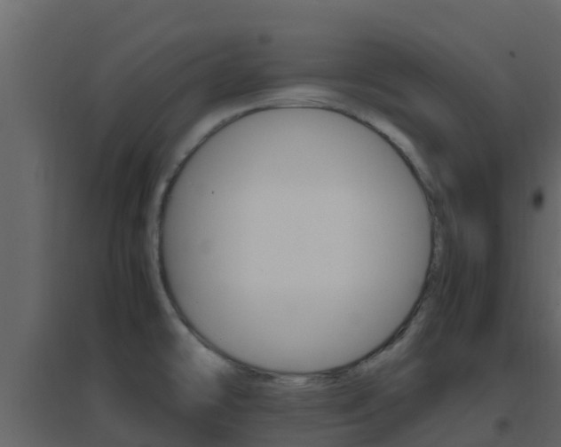 X0000096701478200802051049