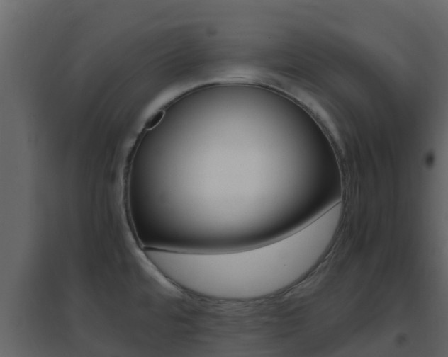 X0000096701480200802051049