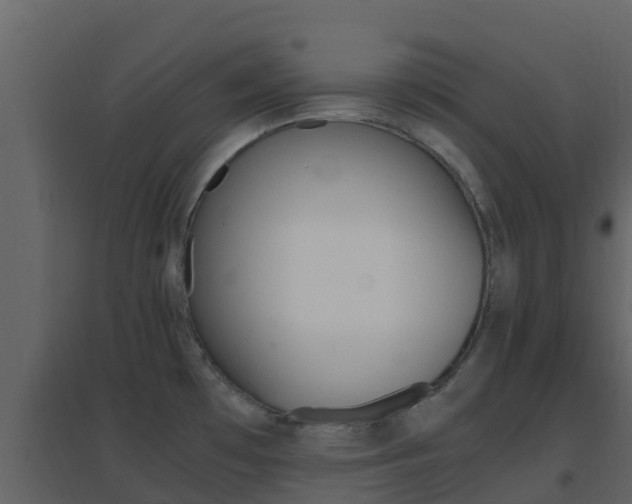 X0000096701481200802051049