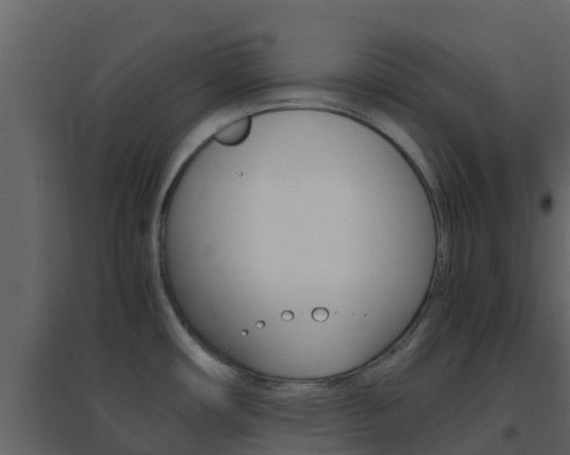 X0000096701482200802051049