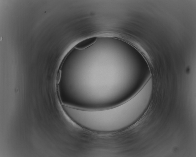 X0000096701484200802051049