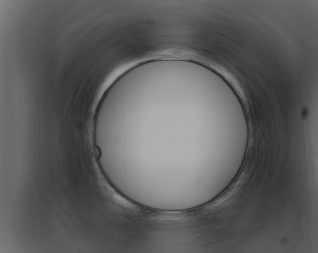 X0000096701486200802051049
