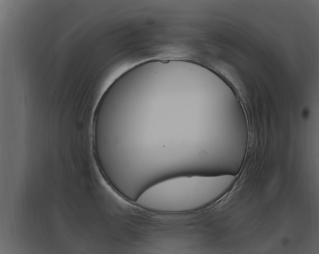X0000096701487200802051049