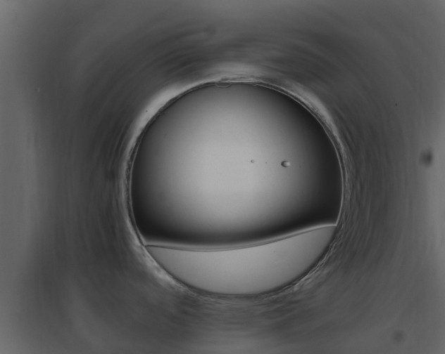 X0000096701488200802051049