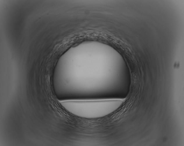 X0000096701489200802051048