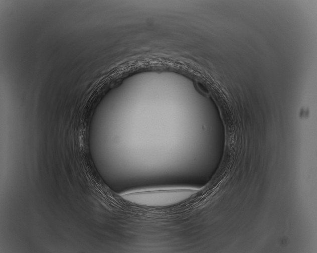 X0000096701490200802051048