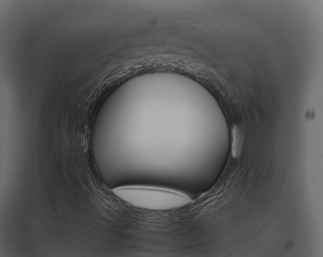 X0000096701491200802051048