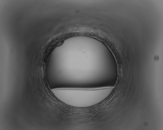 X0000096701493200802051048