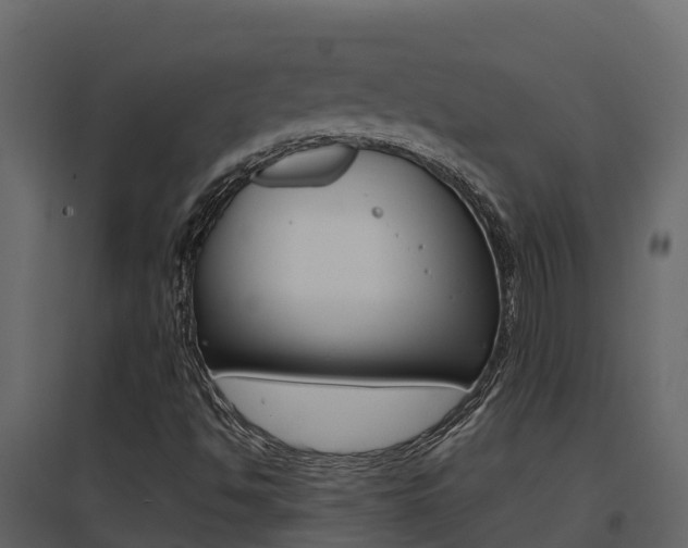 X0000096701494200802051048