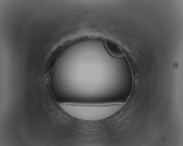 X0000096701495200802051048