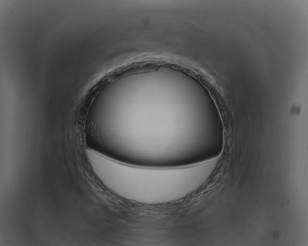 X0000096701496200802051048