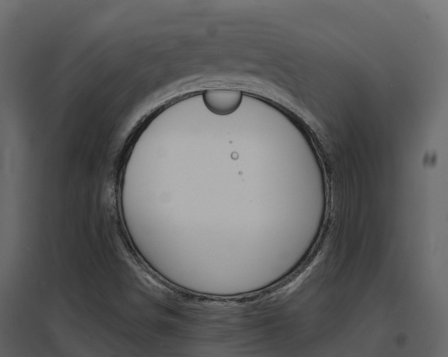 X0000096701498200802051049