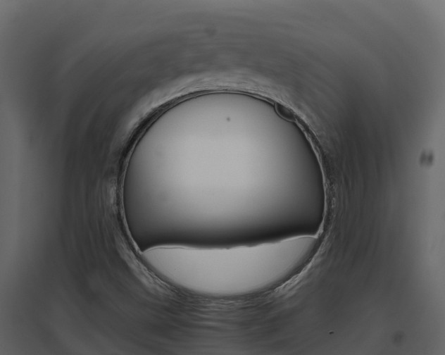 X0000096701499200802051049