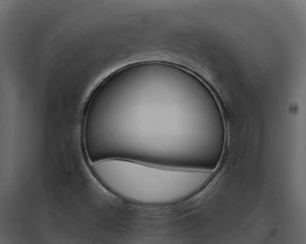 X0000096701500200802051049