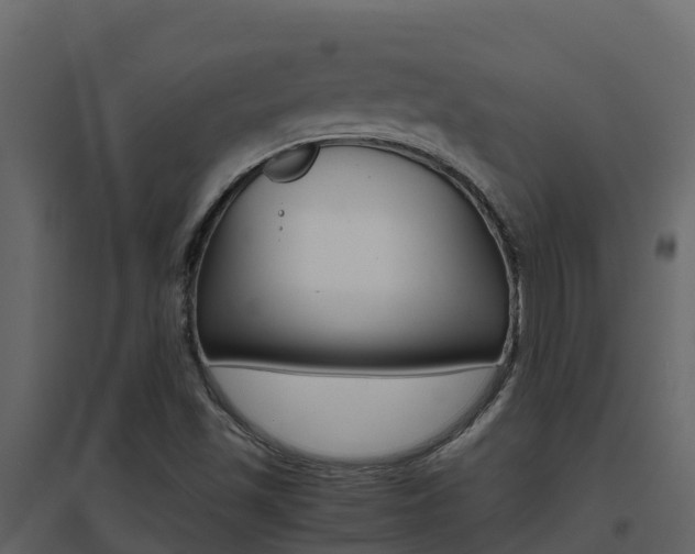 X0000096701501200802051049
