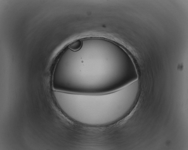 X0000096701502200802051049